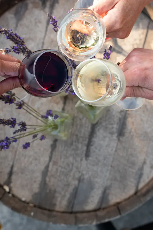 Four glasses of red and white wine clinking over a wine barrel with lavender